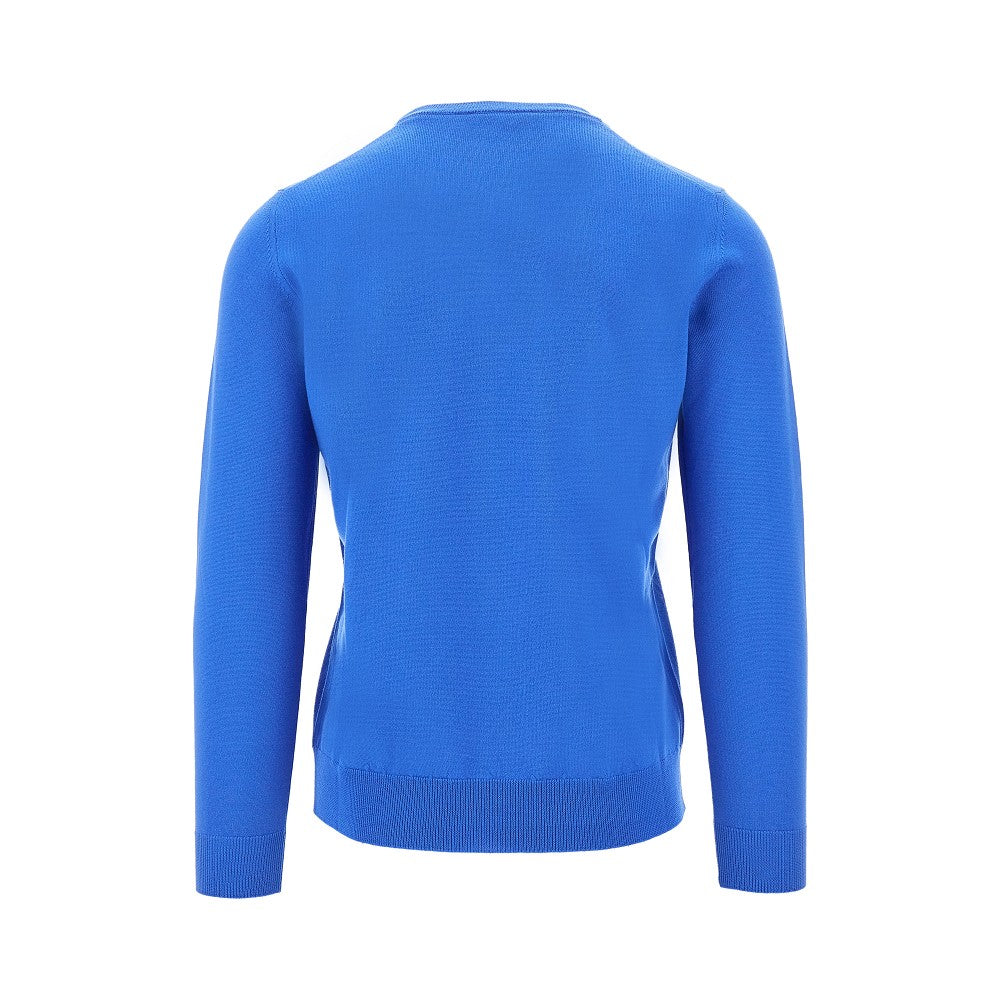 Merino wool V-neck sweater